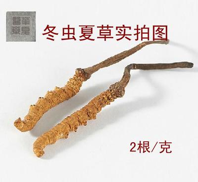 特级西藏那曲王中王冬虫夏草 2根/克臻品，产地直供医药级别